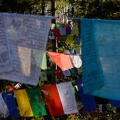 Praying Flags