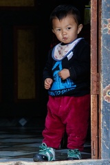 Born to Skate