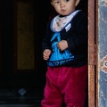 Born to Skate