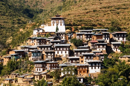 Houses