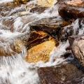 Fresh Water